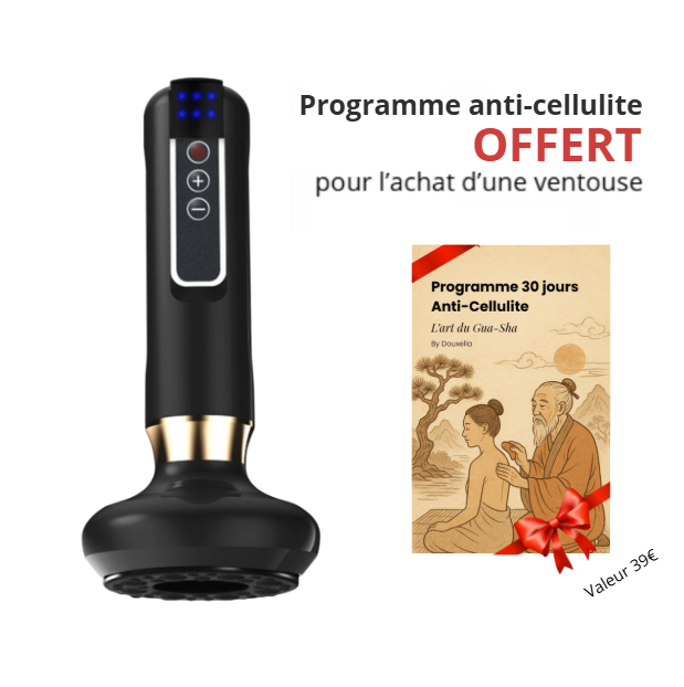 Ventouse Électrique